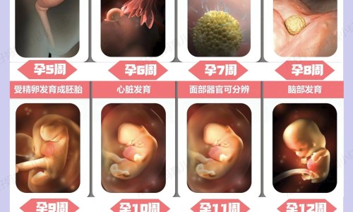 怀孕期间可以擦防晒霜吗有影响吗专区_孕妇可以用防晒霜和隔离霜吗专区_怀孕期间可以擦防晒霜吗网